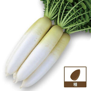 i킯j_CRi卪jFYRĂÂiFzj