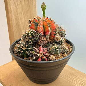 ϗtA/T{eFMmJLE@nCubh@724-06