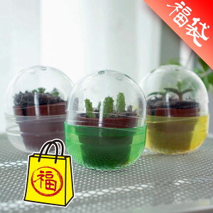 �T�{�e���͔|�J�v�Z��3��Z�b�g