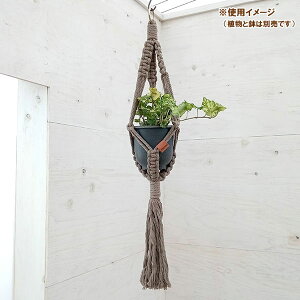 N vgno[F^CvA@^[v^STCYi70cmA4pj