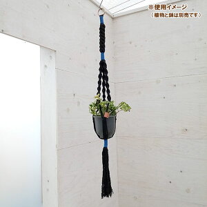 N vgno[F^CvC@ubN × u[^STCYi90cmA5pj