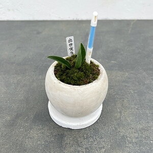 ϗtA/IgiNjFoEA^}{EETXeB[t