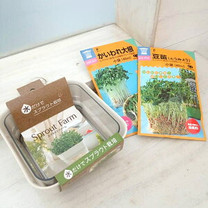 XvEgiVj͔|ZbgF͔|e12^Ƃ卪Ec̎