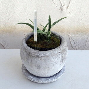 ϗtA/IgiNjFPOEA^[b^{ESSETXeB[t