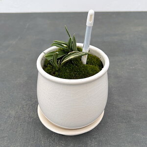 ϗtA/IgiNjFEA^XeEhSETXeB[t