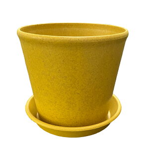 ݂|bg6CG[Ǝ󂯎M̃Zbgia18cmA16.2cmAe2.2Lj