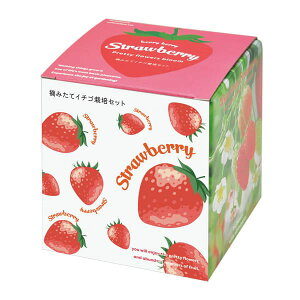 ͔|LbgFE݂ăC`S͔|Zbg