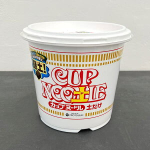 CUP NOOyLE iJbvk[hyj5bg
