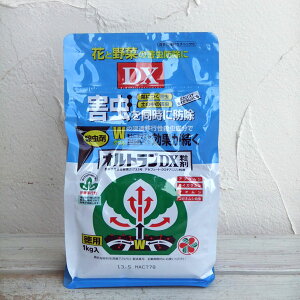 E܁FIgDX1kg 2Zbg