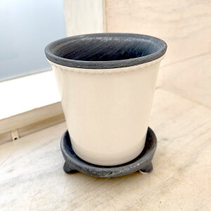 O[Y|bgFGP-10 zCgi10.5cmA10.5cmj