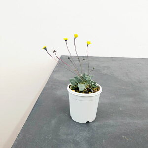 ϗtA/IgiFJJICfXij 2.5A