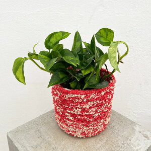 ϗtA/|gXFO[oO[3@W[g|bg12KR