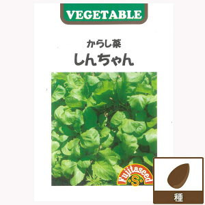 JViF炵؁@񂿂 [tEH܂@؃^l]