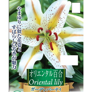 /FIG^[iǎRSjK[fp[eB1