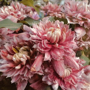 N}`X̕c/N}`XFREGigj4|bgi֌nEdj