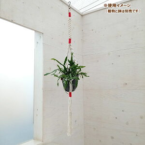 N vgno[F^CvC@i` × bh^MTCYi110cmA6pj