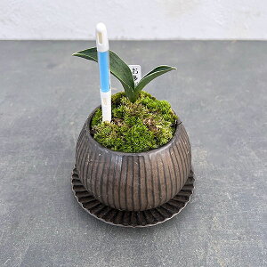 ϗtA/IgiNjFEA^sX{EuYETXeB[t