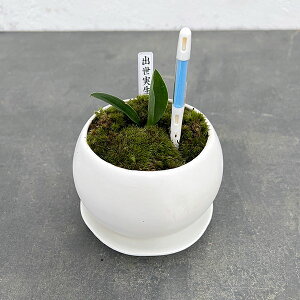 ϗtA/IgiNjFoEA^}iMETXeB[t