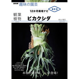 NHK趣味の園芸12か月栽培ナビ　ビカクシダ