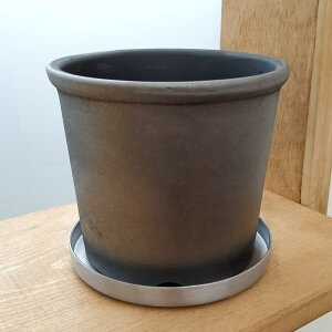 X[Nhv^[150ia15cmjE󂯎Mt