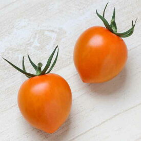 野菜の苗/ミニトマト：トマトベリーオレンジ号ポット