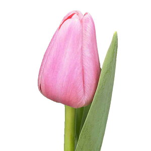 /`[bvFgT[ioExj 10ZbgiTj