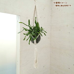 N vgno[F^CvA@i`^MTCYi90cmA5pj