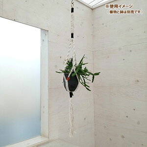 N vgno[F^CvC@i` × ubN^MTCYi110cmA6pj