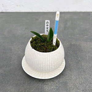 ϗtA/IgiNjFoEA^sX{EETXeB[t