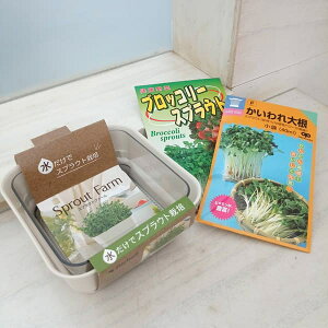 XvEgiVj͔|ZbgF͔|e12^ƃubR[E卪̎