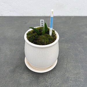 ϗtA/IgiNjFoEA^XeEhSETXeB[t