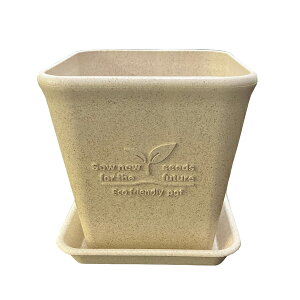 ݂XNGA|bg12^zCgƎ󂯎M̃ZbgiEs12.2cmA12.5cmAe0.9Lj