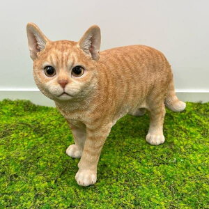 WooBiaF_[NrXPbgƂLijiH22079-5-1j