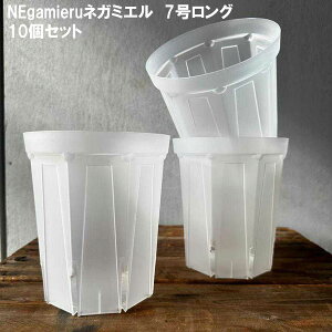 XbgijFlK~G@7O 10Zbg