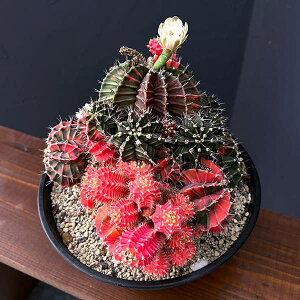 ϗtA/T{eFMmJLE@nCubh@724-02