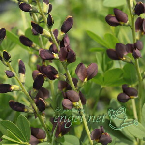 R쑐̕c/Z_CnMi䔋A㔋A㔋jF3-3.5|bg