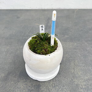 ϗtA/IgiNjFEA^}{EETXeB[t