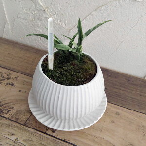 ϗtA/IgiNjFPOEA^sX{EETXeB[t