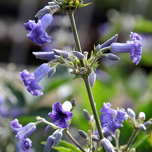 N}`X̕c/N}`XFzziXj4.5|bg(wNCtHAn)