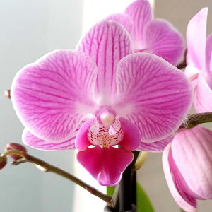 ~fBR`EFnbs[rrA`[3{5.5픫A