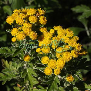 R쑐̕c/LNFVEhV}C\MNiej3|bg