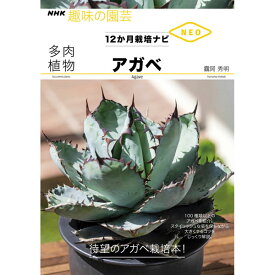 NHK趣味の園芸12か月栽培ナビNEO　多肉植物　アガベ