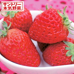 ؂̕c/[]C`SilGȂjFh`Fx[(R)3|bg* 24Zbg