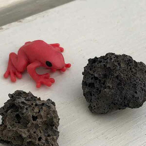 Aj}~j`AFhNKGiԁj1Ɨn2t