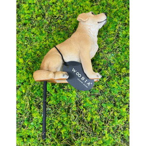 WooBiaF胉uh[Ego[̃K[fsbNiH12259j