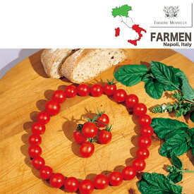 野菜の苗/料理用イタリアトマト：ピッツァヨーラ3.5号ポット 3株セット