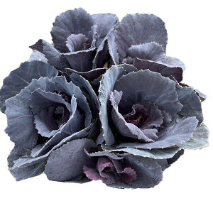 Ԃ̕c/n{^FZbV X[L[3|bg