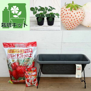 ؂̕c/͔|Zbgiv^[X^hjFc2iVĝ(R)GWFGCgiAEj(PVP)j