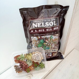 ϗtA/A؂iJbgj2N̍gtpbP[Wƌł܂yil\j1bg̃Zbg