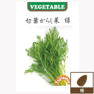 JViFؗt炵؁i΁j[قڎN܂ ؂̃^l]